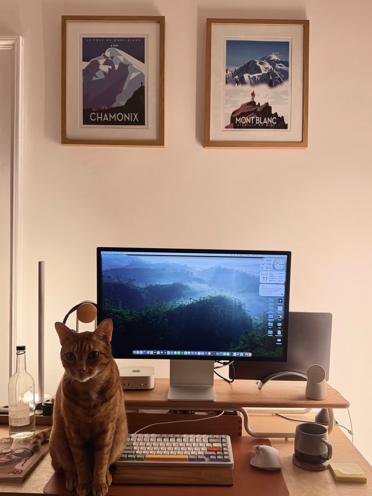 The studio desk: keyboard, monitor, mountain posters, and the orange cat sitting front and center.